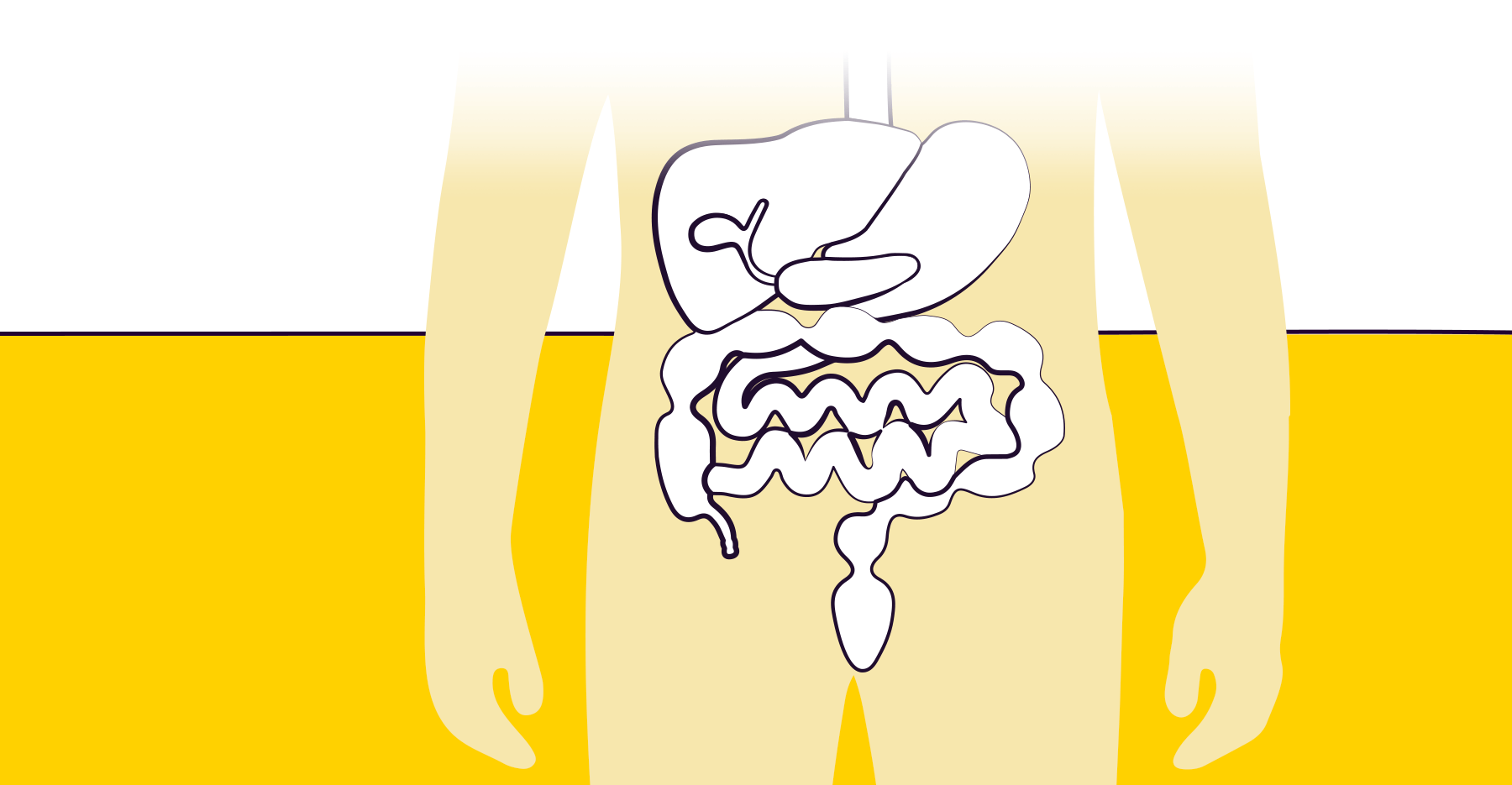 An illustration of the human digestive track over a yellow background