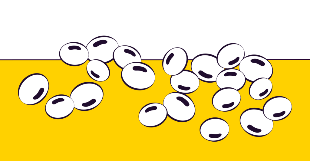 Is Soy Safe for Cancer Patients? Cancer Nutrition Consortium