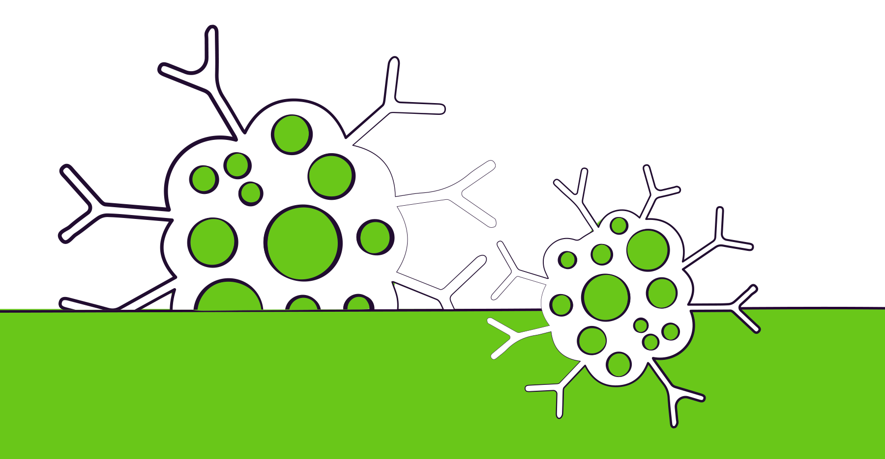 An illustration of some cells over a green background