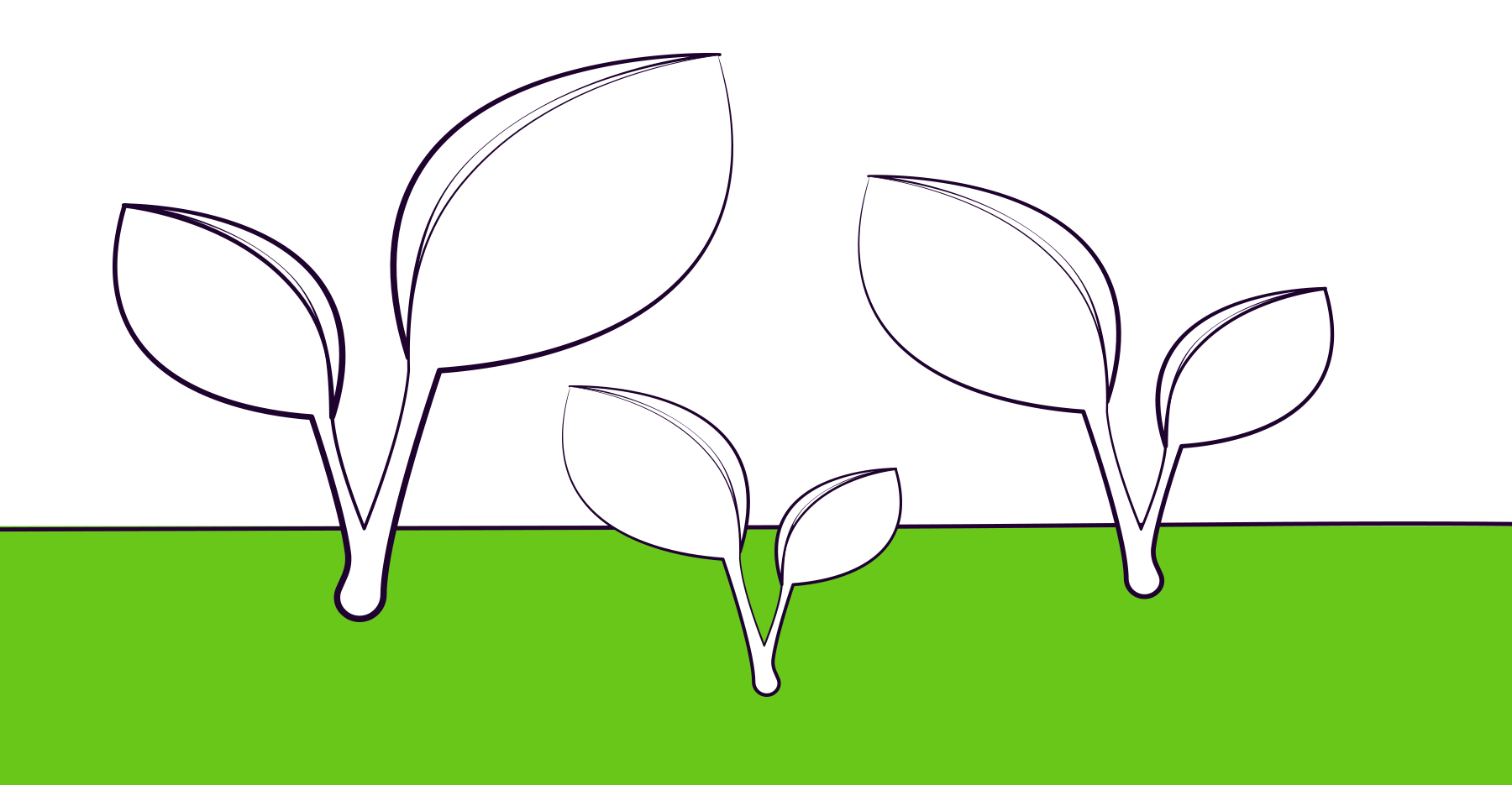 An illustration of three sprouts over a green background