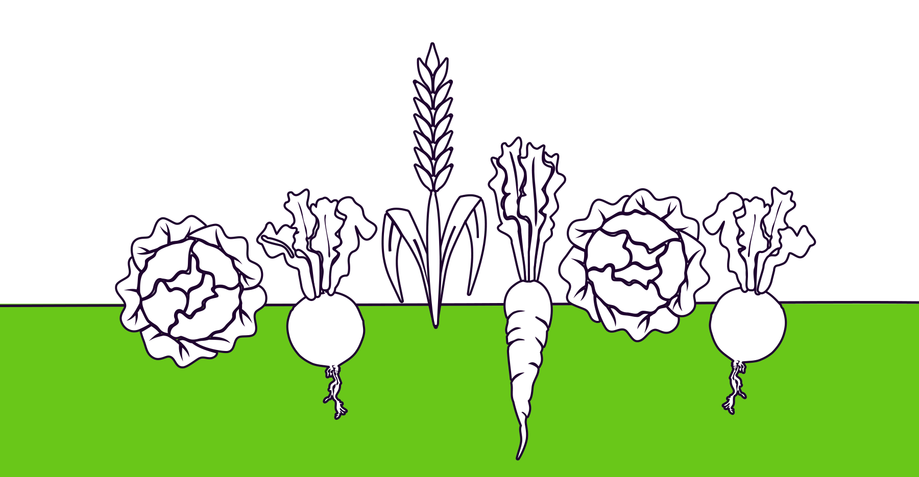 An illustration of some root vegetables over a green background