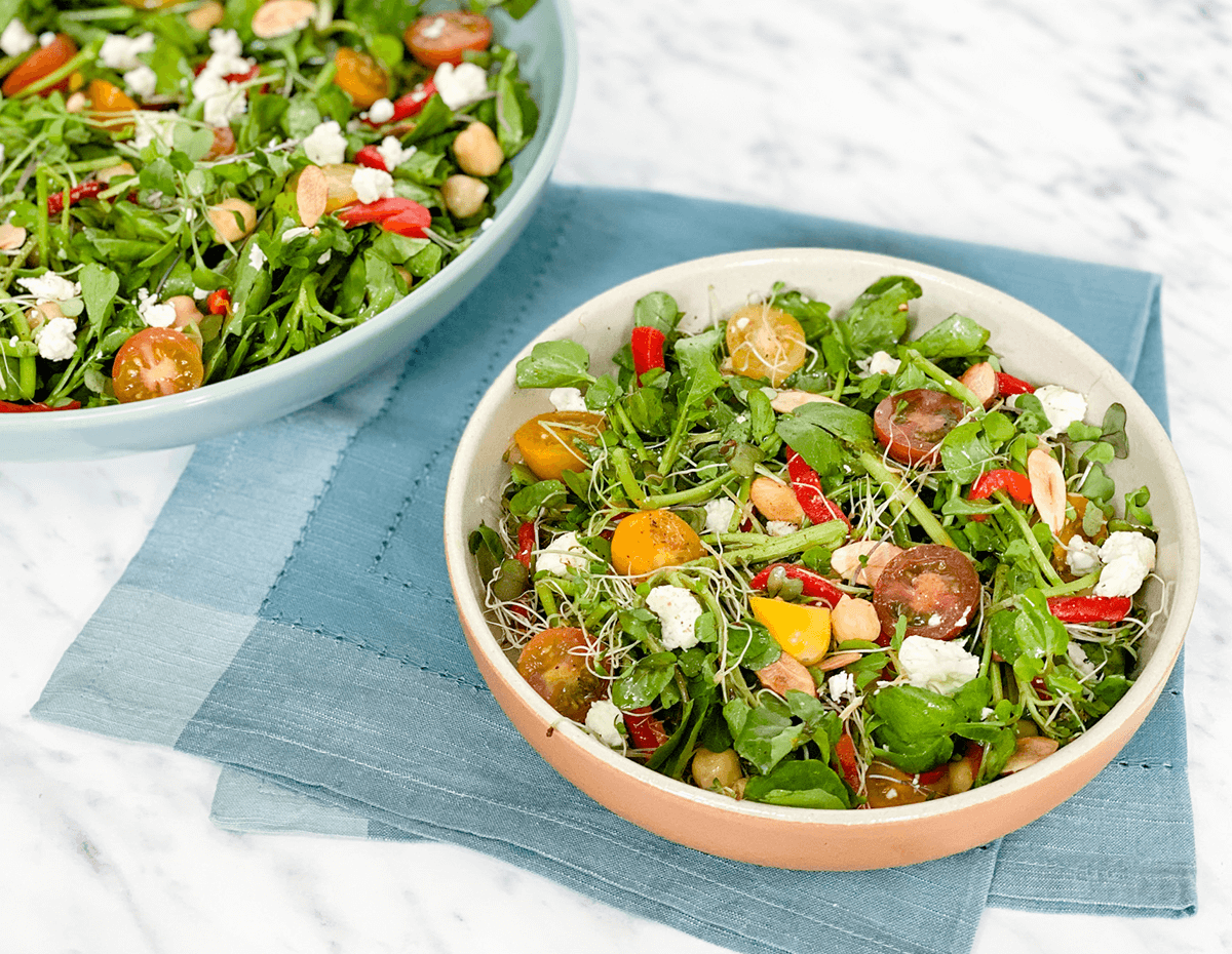 A tasty helping of watercress radish sprout salad